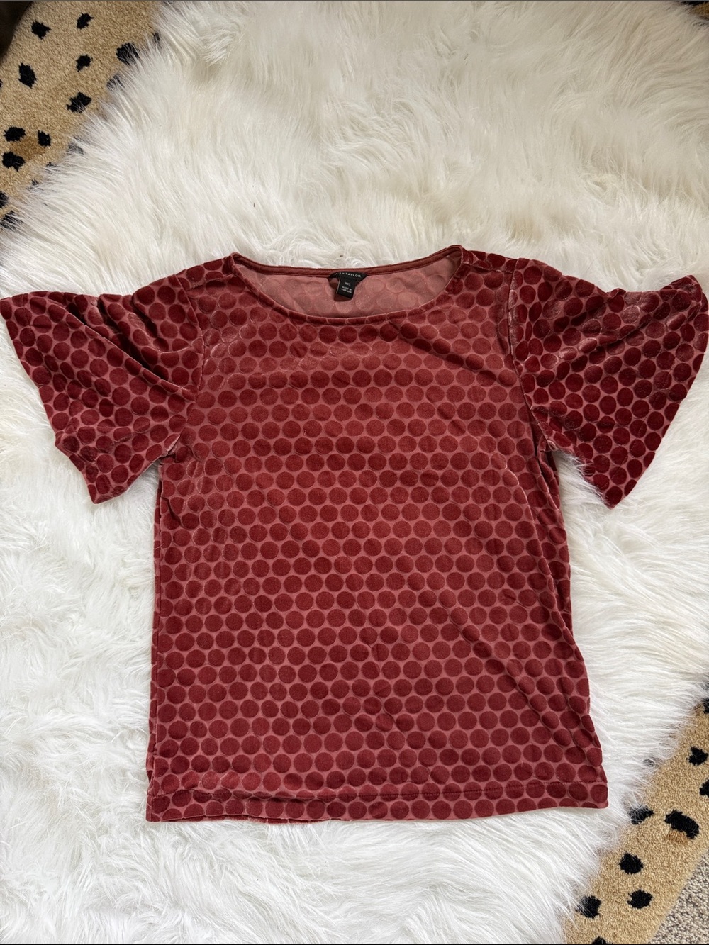 Ann Taylor Velvet Dot Short Sleeve Top - Wine